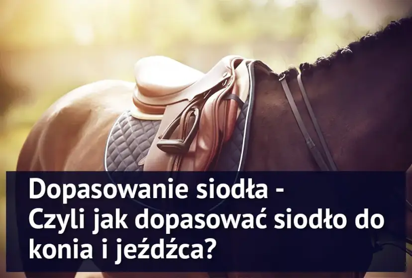 Twój koń cierpi? Jak prawidłowo dopasować siodło krok po kroku