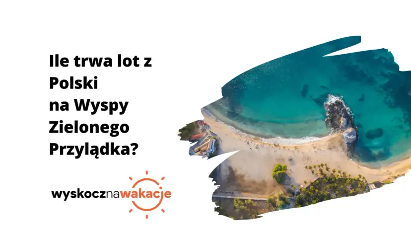 Widok z lotu ptaka na tropikalną plażę z turkusową wodą i palmami.