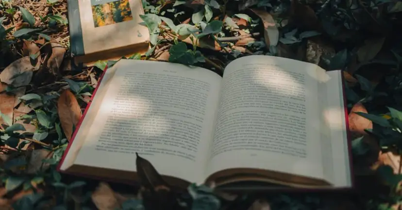 Natura w tekstach kultury: Klucz do zrozumienia człowieka i świata?