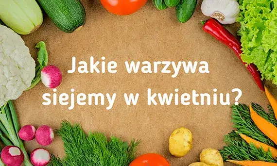 Jakie warzywa sadzimy w kwietniu - uniknij błędów w ogrodzie