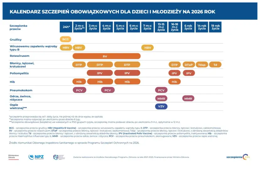 Szczepienie szczeniaka: Pełny kosztorys i kalendarz. Bez niespodzianek