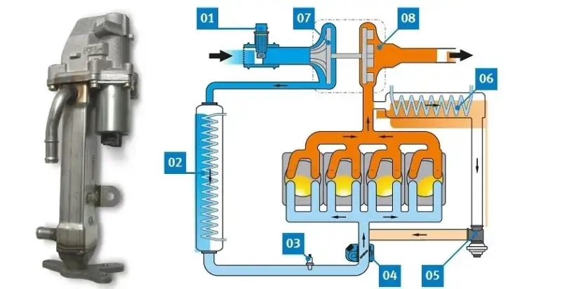 Nieszczelna chłodnica EGR: objawy, diagnoza i jak uniknąć kosztów