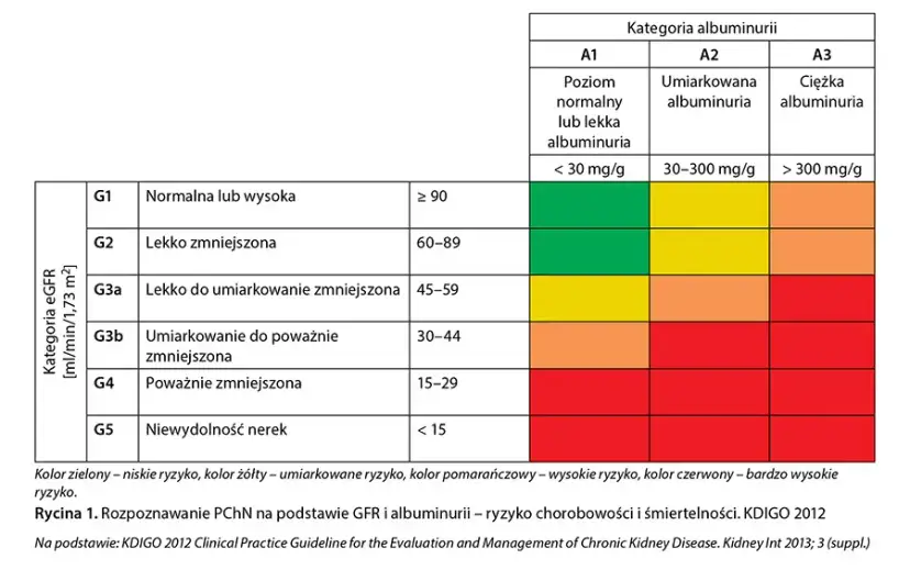 Niewydolność nerek a psychika: Depresja, lęk, mgła mózgowa?