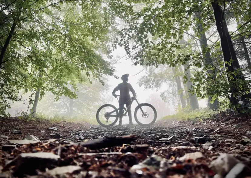 Jaki rower do jazdy po lesie i asfalcie - wybierz idealny model dla siebie