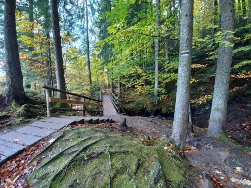 Kamienna ścieżka i drewniany mostek w jesiennym lesie, wśród drzew i opadłych liści.