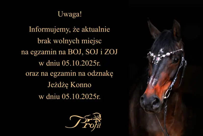 Twój przewodnik: Odznaka "Jeżdżę Konno" PZJ zdaj za 1 razem!