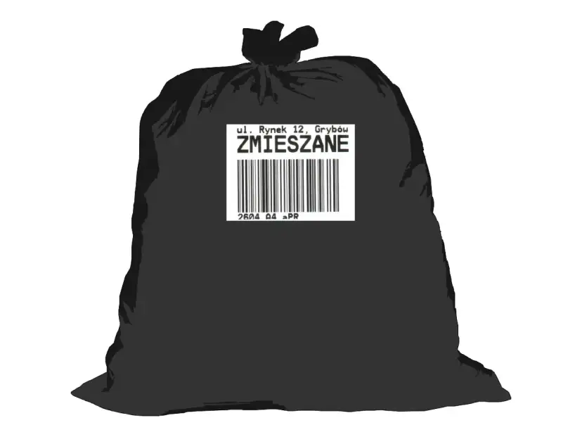 Śmieci zmieszane: czarny worek. Co wrzucać, by nie płacić kar?