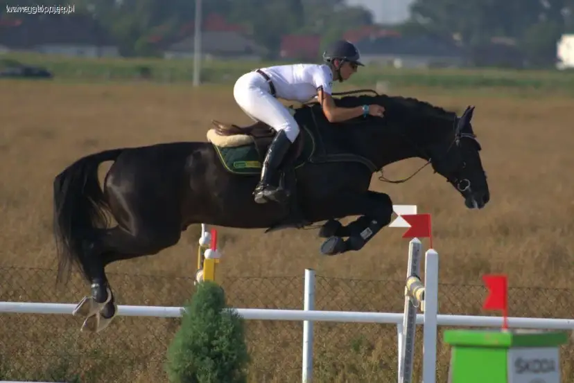 Skoki przez przeszkody: Jak zacząć i zostać mistrzem parkuru?