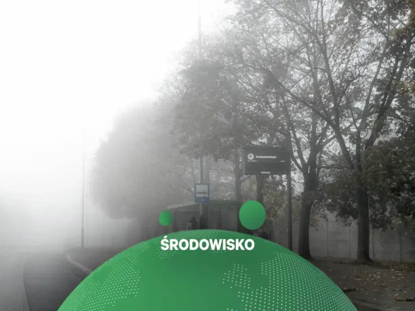 Mglisty krajobraz miejski z drzewami i znakiem Arciszewskiego.