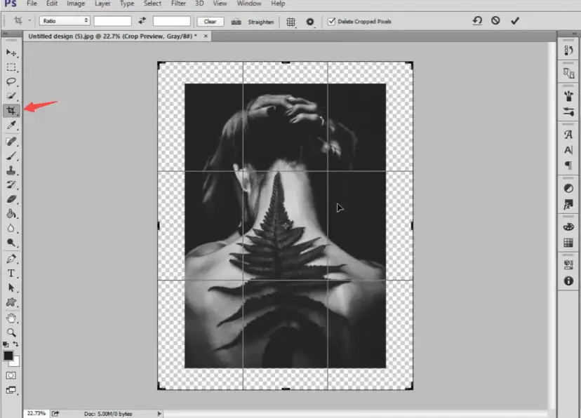 Widok Photoshopa z zaznaczonym narzędziem przycinania i obrazem kobiety z paprocią na plecach.
