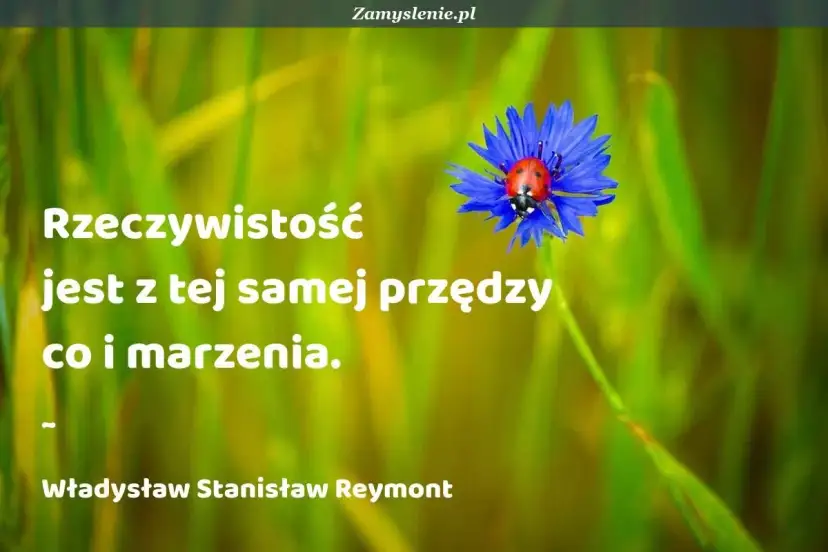 Cytaty o tym, jak spełniaj marzenia, bo rzeczywistość jest z tej samej przędzy co one. Biedronka na chabrze.