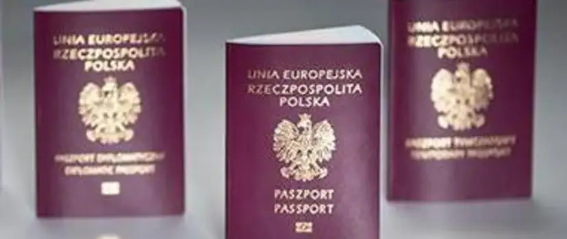 Trzy polskie paszporty w bordowych okładkach z godłem Polski.