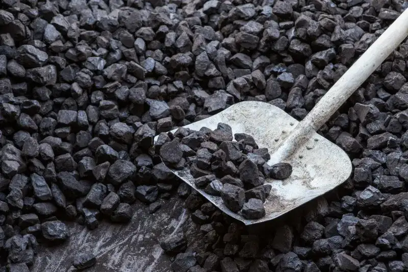 W jakiej cenie jest ekogroszek? Sprawdź aktualne ceny i oferty