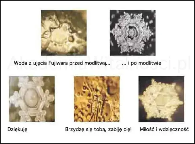 Eksperyment Emoto z ryżem: Prawda czy pseudonauka?