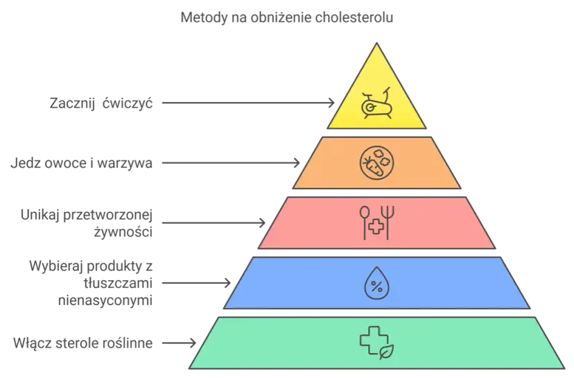 Cholesterol: prawda i mity. Jak obniżyć LDL i chronić swoje serce?