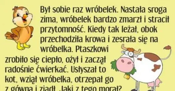 Dowcip o wróbelku: Morały, humor i ponadczasowa lekcja życia