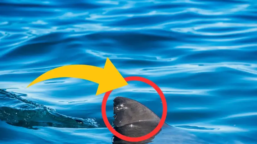 Czy na Kos jest bezpiecznie? Odkryj zagrożenia i porady dla turystów