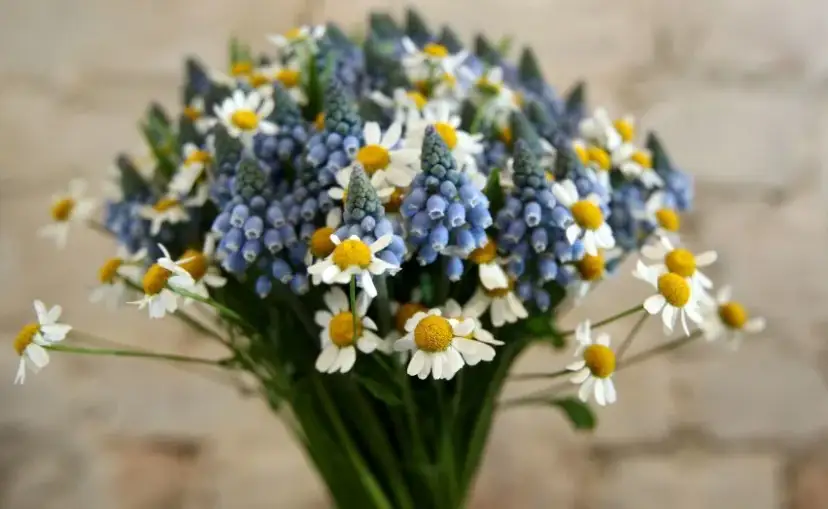 Na której randce kwiaty? Sprawdź, kiedy to najlepszy moment