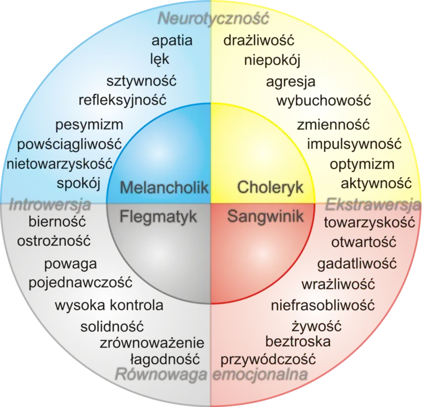 Jaki masz typ osobowości? Odkryj, co mówi o Tobie Twój wynik