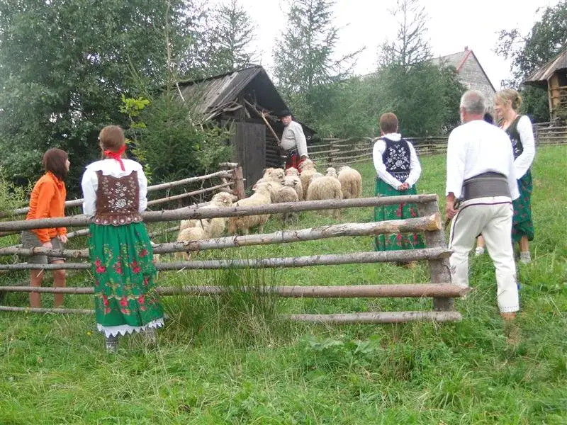 Bacówka Marcówka - wyjątkowe doświadczenie agroturystyczne w górach