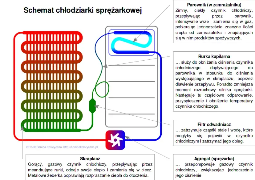 Jak działa lodówka? Odkryj sekrety chłodzenia i oszczędzaj prąd!