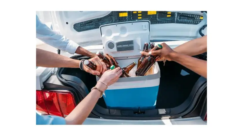 Lodówka na napoje: jak wybrać? Kluczowe cechy i błędy do uniknięcia