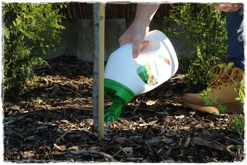 Jaki nawóz do ogródka na jesień, aby uniknąć błędów w pielęgnacji?