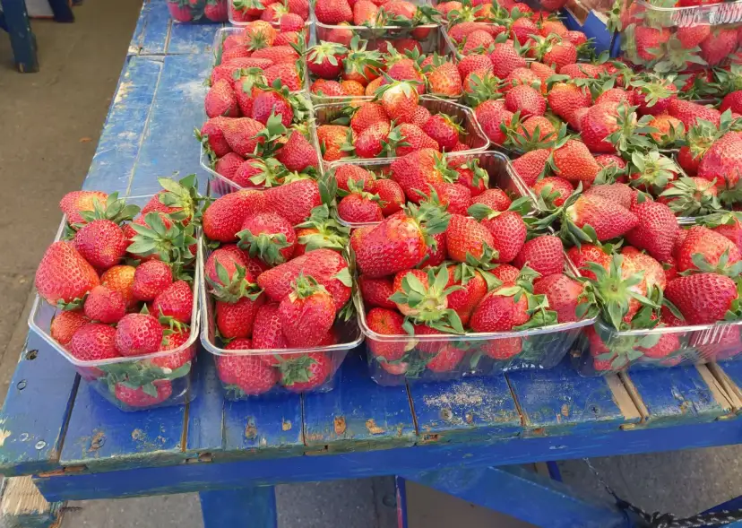 Kiedy jest sezon na truskawki w Polsce? Sprawdź najlepszy czas na zakupy
