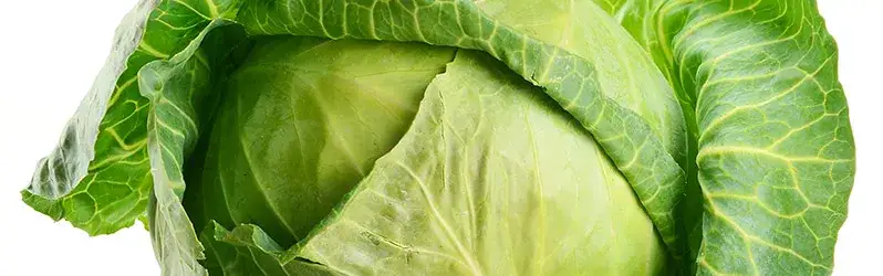 Co zrobić z młodej kapusty na obiad - pyszne i proste przepisy