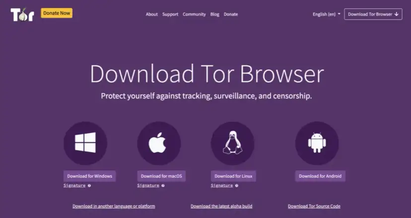 Sieć Tor: Jak wejść bezpiecznie? Przewodnik po legalności i Darknecie