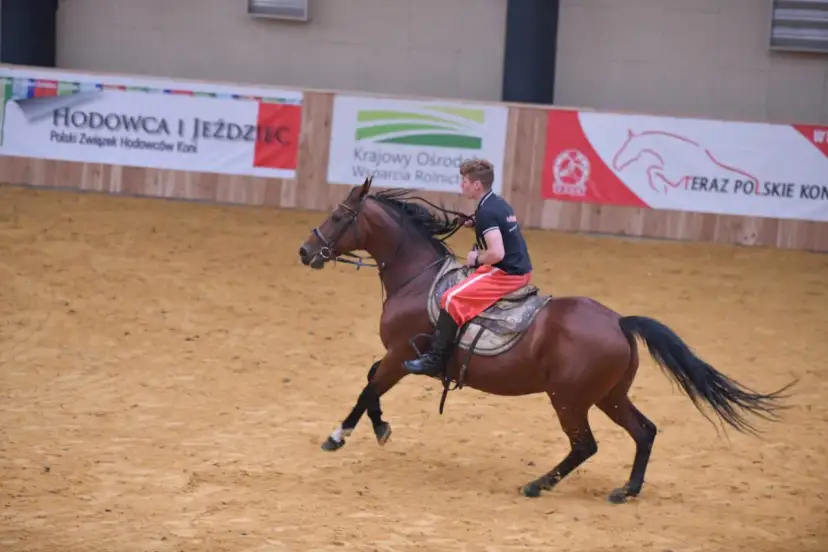 Studia hipologiczne: Gdzie w Polsce rozwijać pasję do koni?