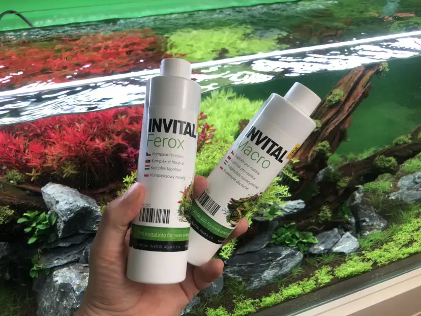 Jaki nawóz ma dużo potasu? Oto najlepsze opcje dla Twoich roślin