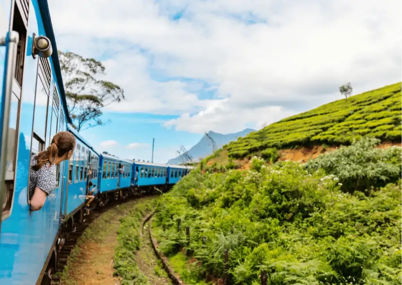 Dziewczynka wychyla się z okna niebieskiego pociągu jadącego przez zielone wzgórza Sri Lanki. Czerwiec, idealna pogoda na podróż!