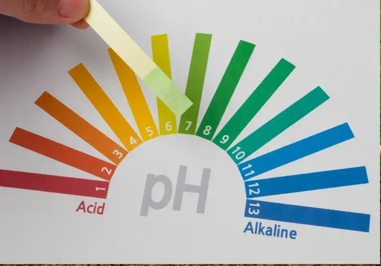 Jakie pH pod trawnik zapewni zdrowy wzrost i intensywny kolor?