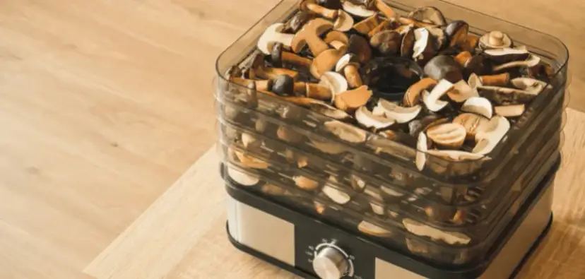 Ile kosztuje suszenie grzybów w suszarce? Oblicz i oszczędź z PV!