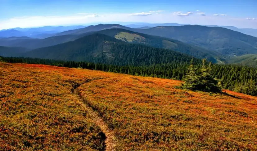 Bacówka "Na Królowej": Odkryj sekrety pasterstwa w Beskidach