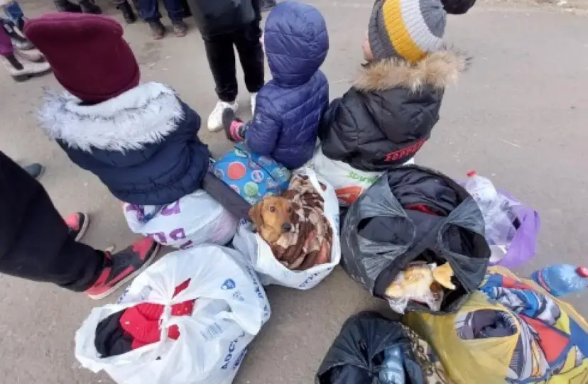 Czy mężczyźni mogą wyjechać z Ukrainy? Nowe zasady i zmiany w prawie