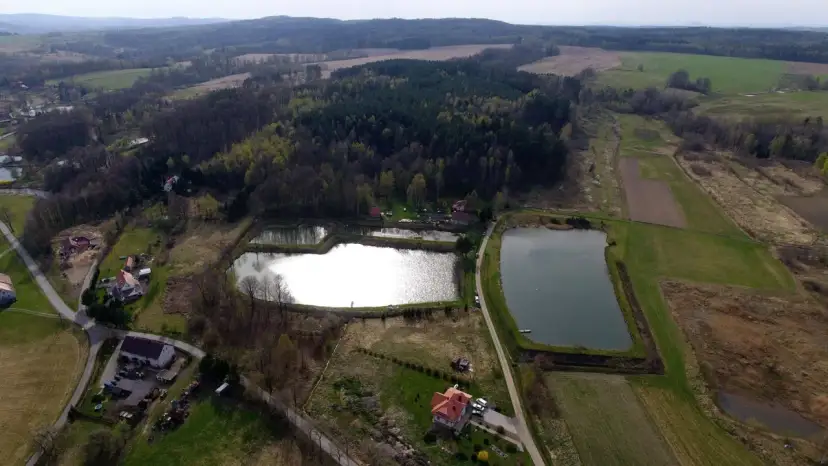Łowisko Kościelnik: Karpie 20kg+, zasady, cennik. Planuj wyprawę!