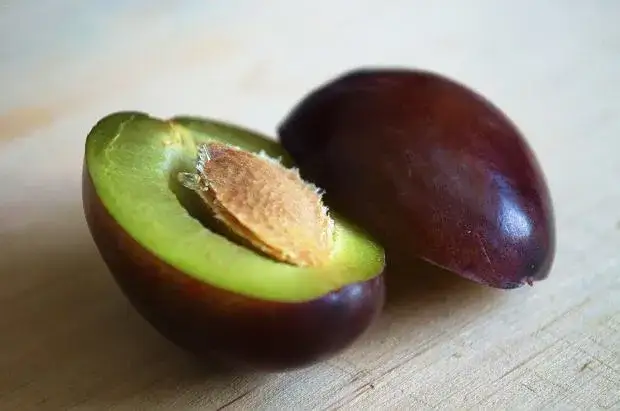 Kiedy sezon na śliwki? Odkryj, jak cieszyć się świeżymi owocami