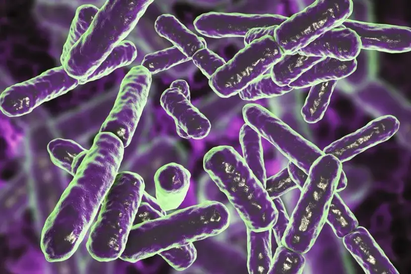 Zaburzona flora bakteryjna pochwy objawy - co musisz wiedzieć, aby uniknąć problemów