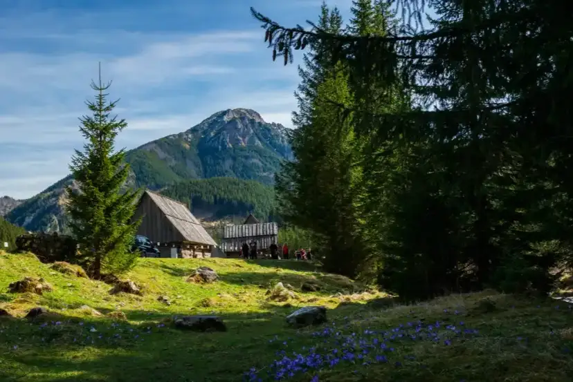 Jaki szlak w Tatrach wybrać? Odkryj łatwe i widokowe trasy