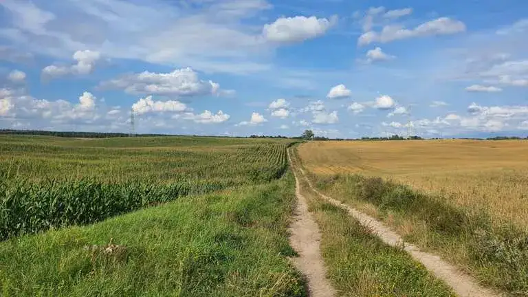 Szczytno atrakcje – odkryj najciekawsze miejsca i aktywności w mieście