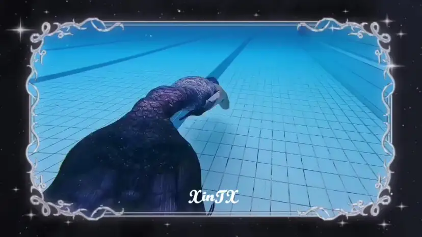 Profesjonalny ogon syreny: Jak wybrać i pływać bezpiecznie?