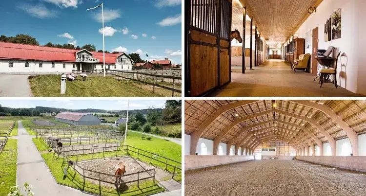 Stadnina koni na sprzedaż: Kompleksowy przewodnik dla inwestora