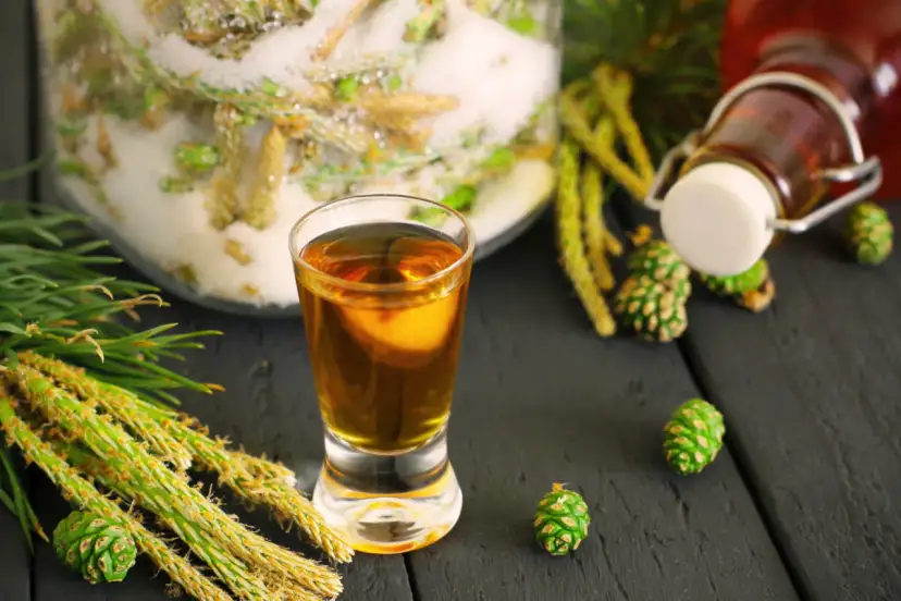 Gorzka nalewka z sosny? Jak uratować i zrobić idealną