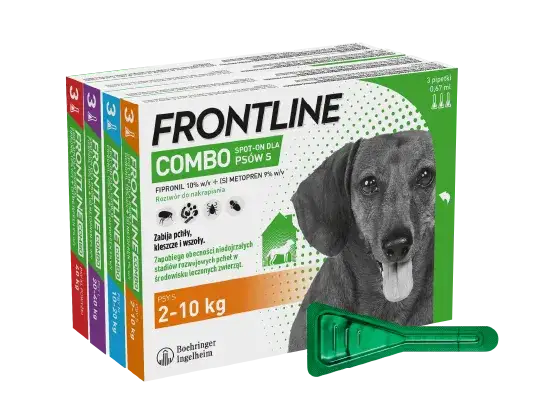Jak skutecznie stosować Frontline dla psa, aby uniknąć pcheł i kleszczy