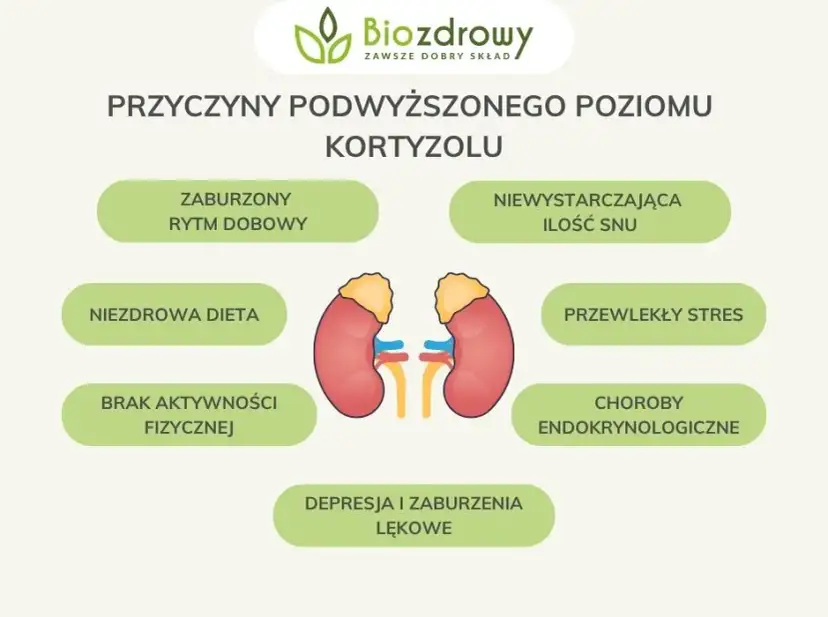 Jak obniżyć kortyzol? Sprawdzone suplementy i porady eksperta