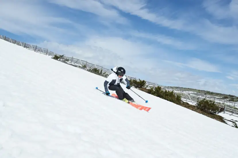 Kurtka na narty dla dzieci: Co musisz wiedzieć? Pełny poradnik