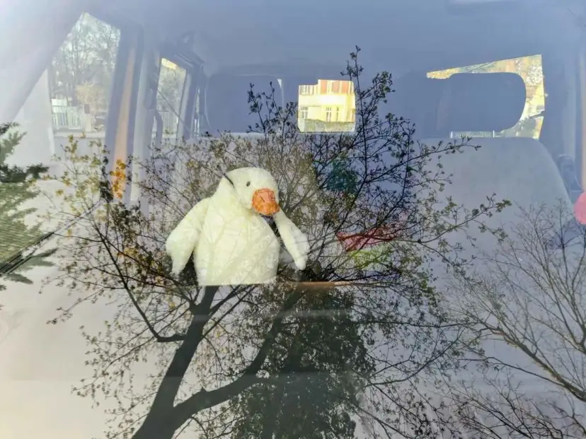 Skąd moda na pluszowe gęsi? Zaskakująca historia viralowego fenomenu