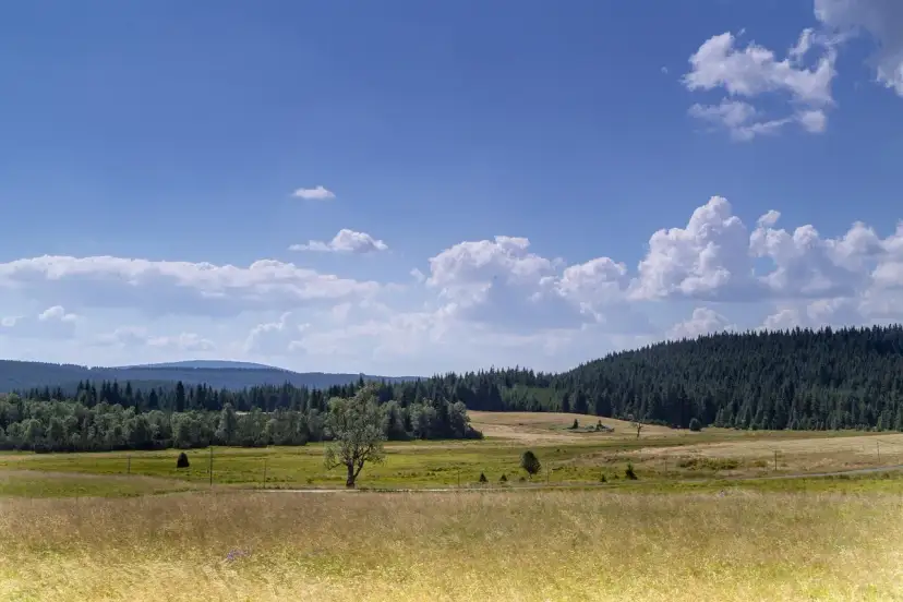 Góry Izerskie: Co zobaczyć? Przewodnik po atrakcjach i szlakach